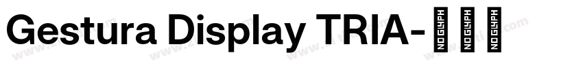 Gestura Display TRIA字体转换 Gestura Display TRIA字体转换